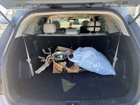 Used 2023 Kia Sorento S w/ Panoramic Sunroof Package image 9