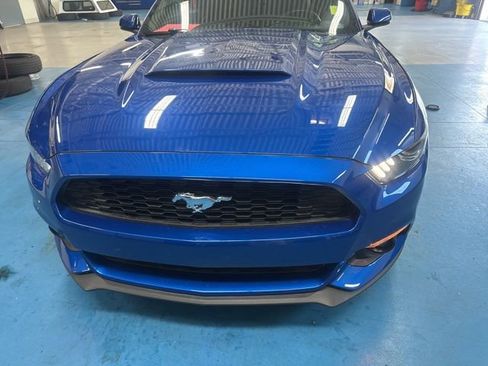 Used 2017 Ford Mustang Premium w/ Ecoboost Performance Package image 1