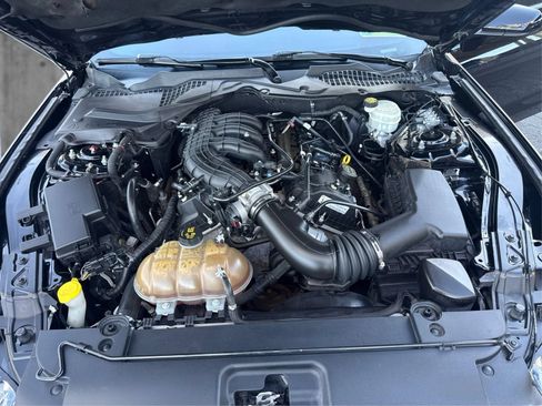 Used 2017 Ford Mustang Coupe RWD image 11