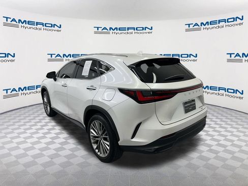 Used 2025 Lexus NX 350h AWD w/ Cold Area Package image 2
