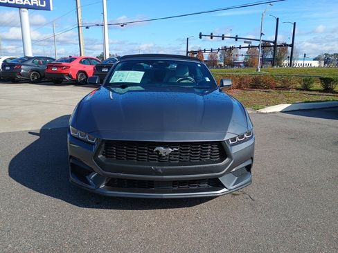 Used 2024 Ford Mustang Premium image 2