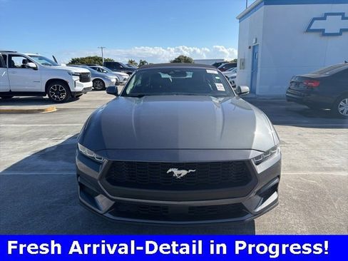 Used 2024 Ford Mustang Premium image 2