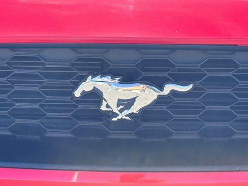 Used 2019 Ford Mustang Coupe image 33