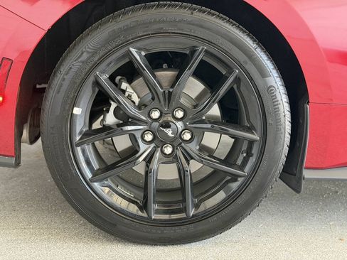 Used 2024 Ford Mustang Premium w/ Mustang Nite Pony Package RWD image 38