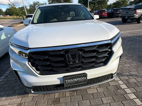 Used 2025 Honda Pilot EX-L image 5