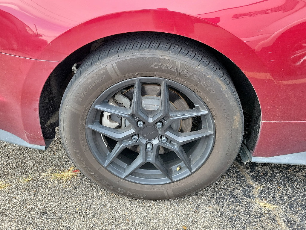 Used 2019 Ford Mustang Coupe RWD image 5