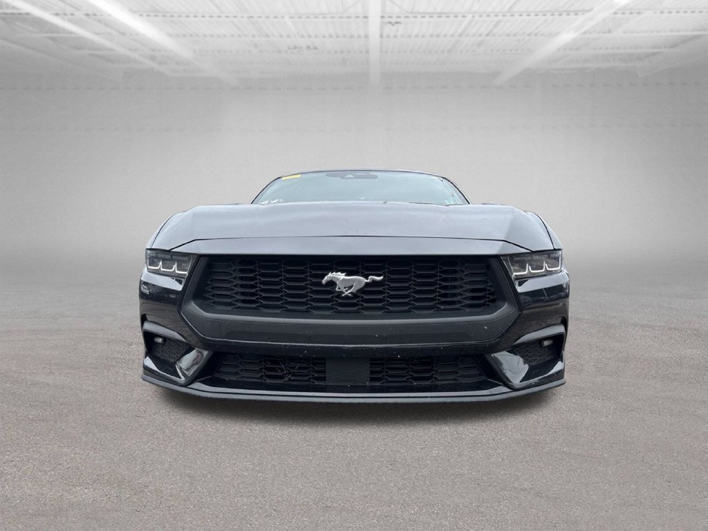 Used 2024 Ford Mustang Coupe RWD image 2