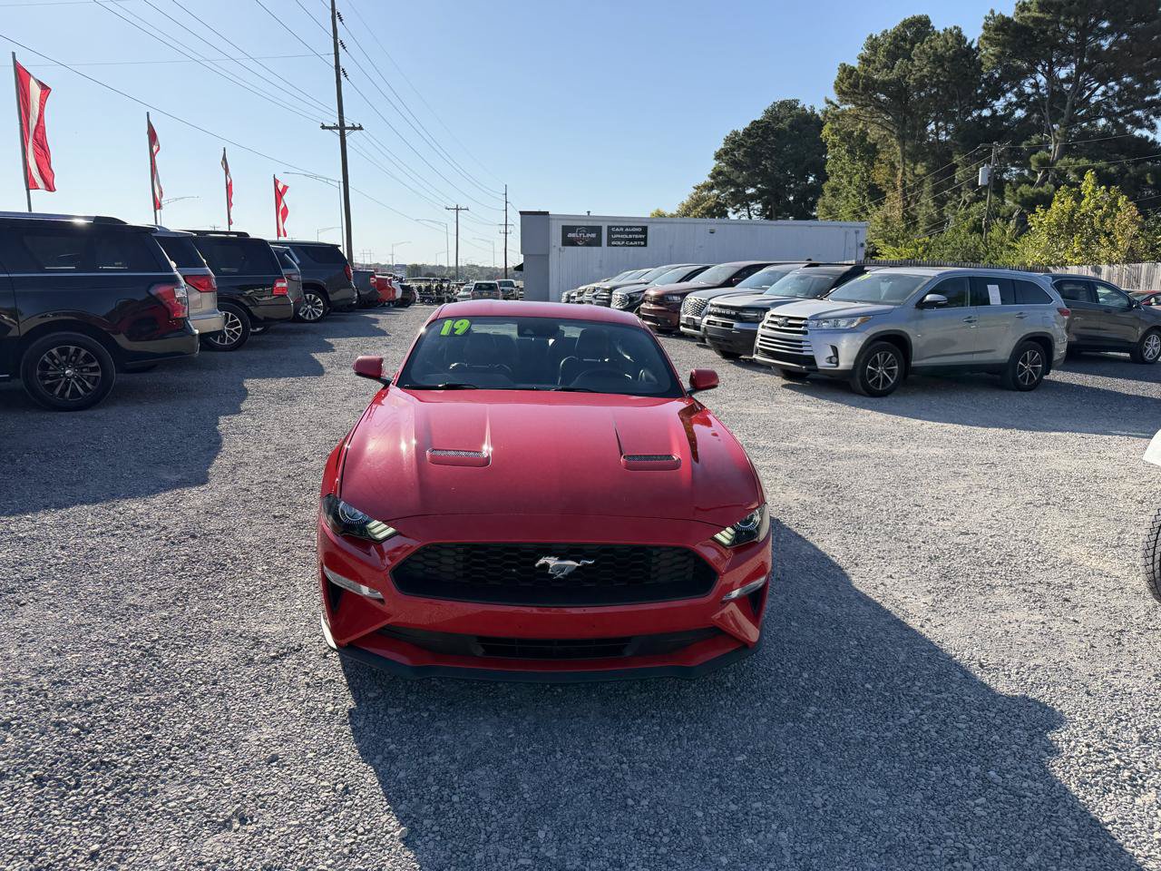Used 2019 Ford Mustang Premium w/ Equipment Group 201A RWD image 13