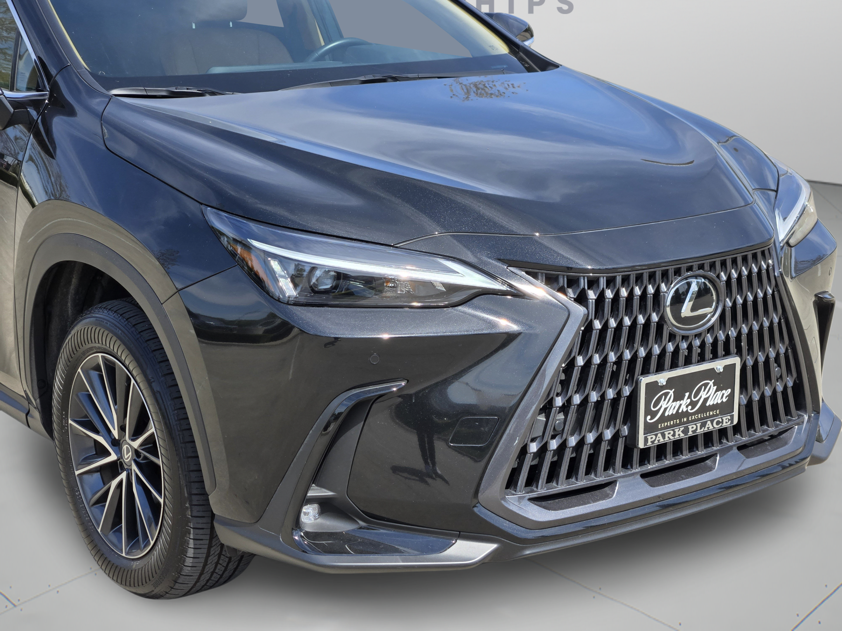 Certified 2026 Lexus NX 350 AWD w/ Cold Area Package image 31