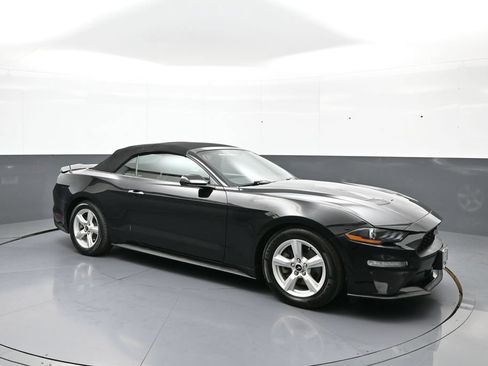Used 2019 Ford Mustang Convertible RWD image 4