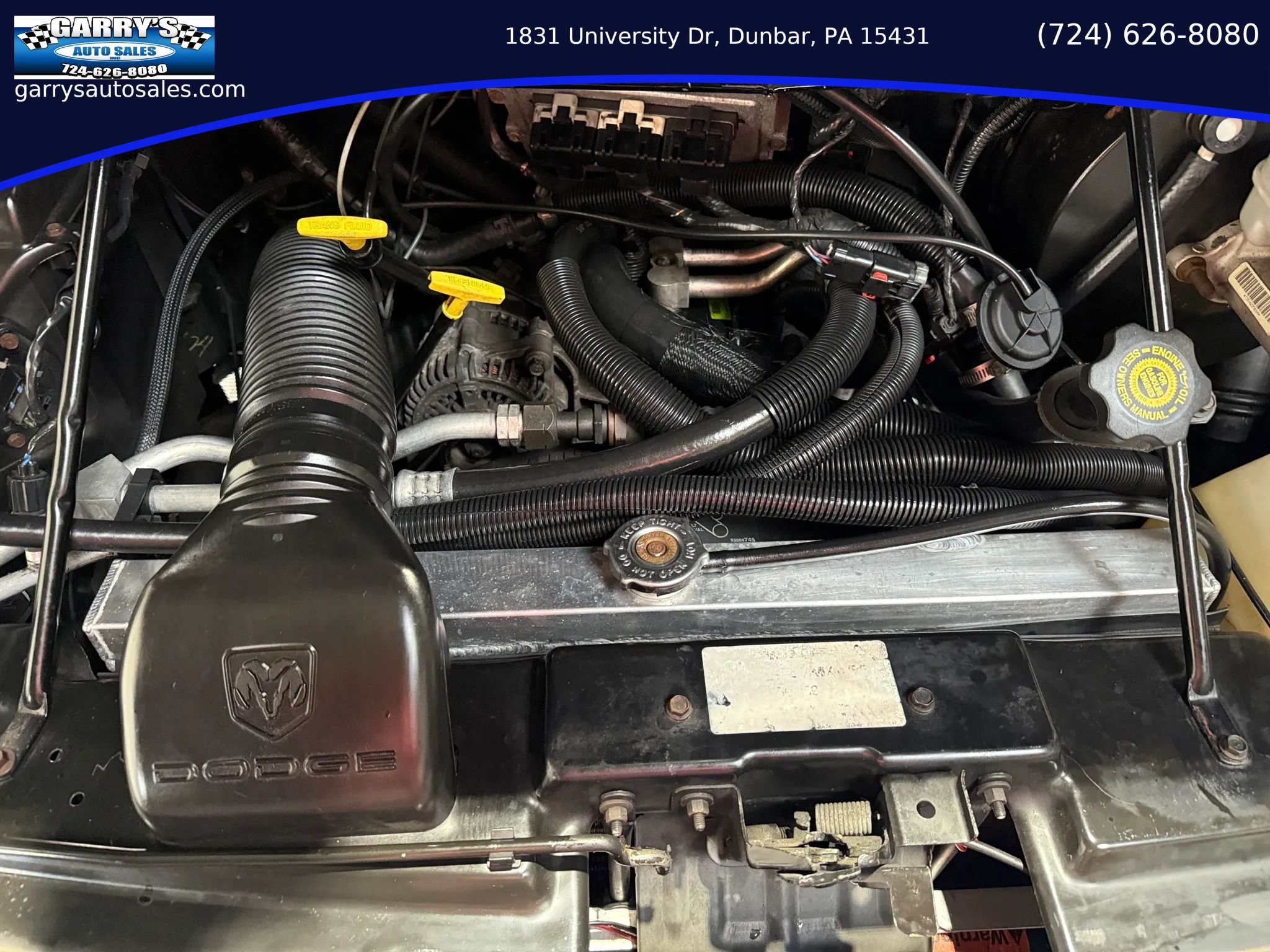 Used 2003 Dodge B1500 RWD image 9