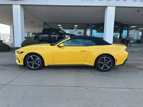 Used 2024 Ford Mustang Premium image 4