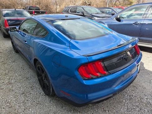 Used 2019 Ford Mustang Coupe w/ Black Accent Package image 6