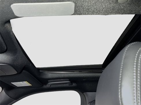 New 2025 Ford Expedition Platinum w/ Stealth Performance Package image 25