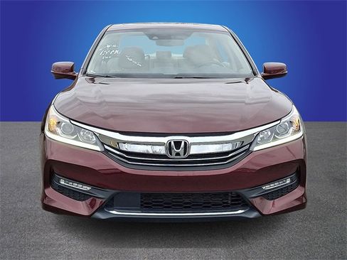 Used 2016 Honda Accord EX-L image 2