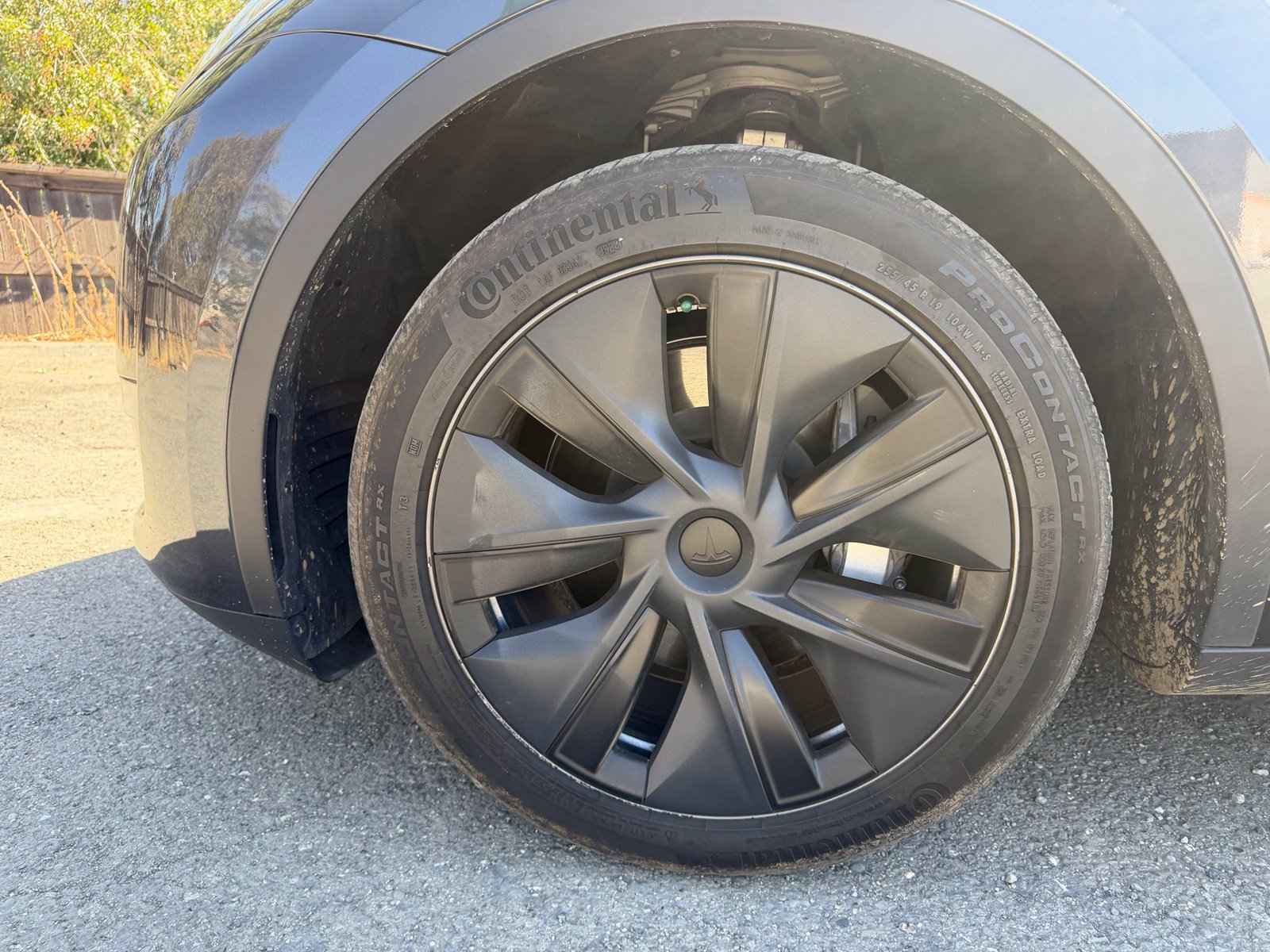 Used 2024 Tesla Model Y Long Range RWD image 9