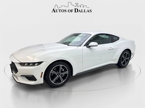 Used 2025 Ford Mustang Coupe RWD image 2