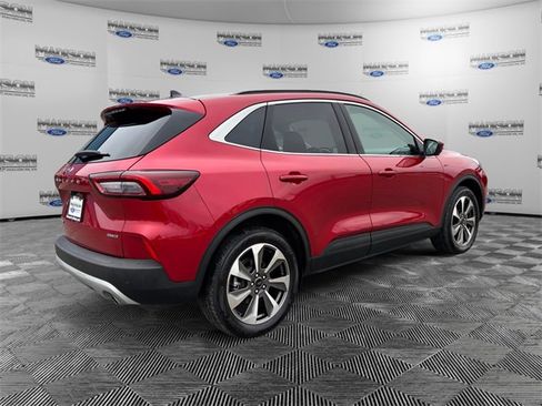 Used 2025 Ford Escape Platinum w/ Premium Technology Package image 5