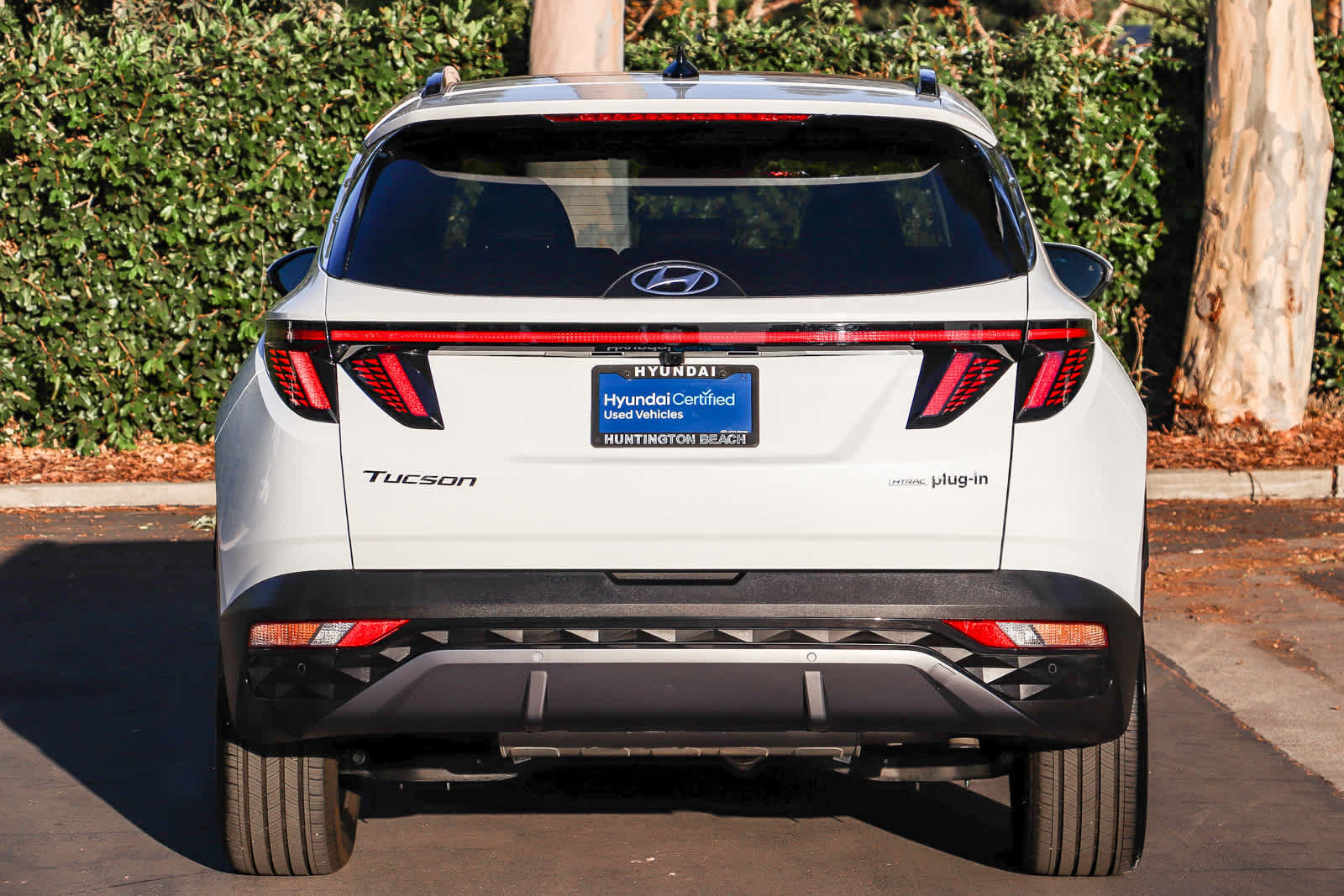 Certified 2024 Hyundai Tucson Limited AWD/4WD image 7