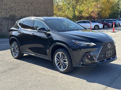New 2026 Lexus NX 350h AWD w/ Luxury Package image 3
