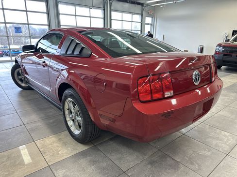 Used 2009 Ford Mustang Coupe image 13