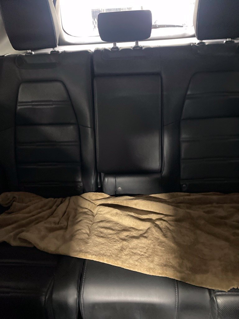 Used 2019 Honda CR-V EX-L image 7