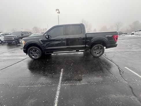 Used 2023 Ford F150 XLT w/ Equipment Group 302A High image 2