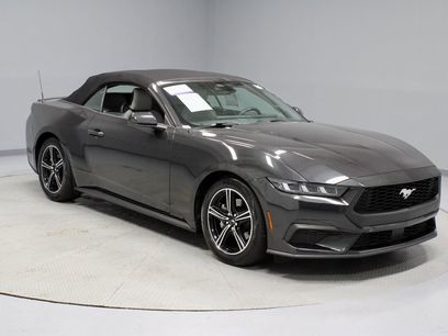 Certified 2024 Ford Mustang Premium