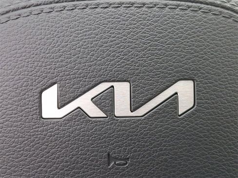 New 2025 Kia Telluride EX image 12