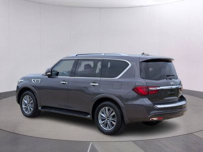 Used 2024 INFINITI QX80 Luxe