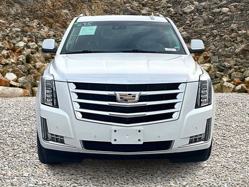 Used 2019 Cadillac Escalade Luxury image 3