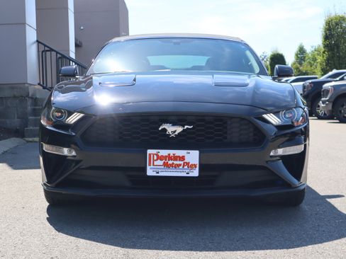 Used 2018 Ford Mustang Premium w/ Equipment Group 201A RWD image 3