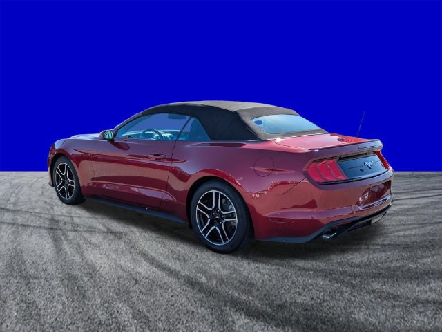 Used 2018 Ford Mustang Premium RWD image 6