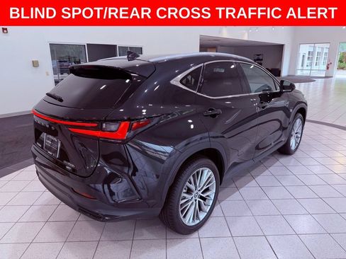 Certified 2025 Lexus NX 350h AWD w/ Cold Area Package image 8