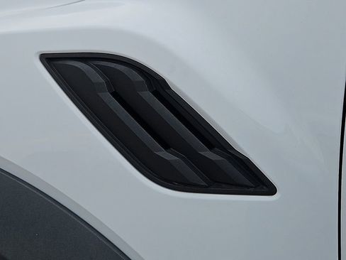 Used 2019 Ford F150 Raptor w/ Equipment Group 802A Luxury image 14