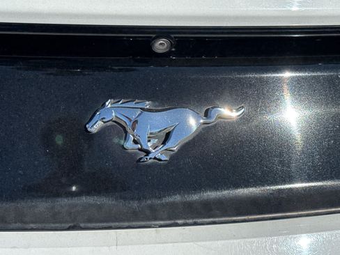 Used 2016 Ford Mustang Premium w/ Pony Package RWD image 16