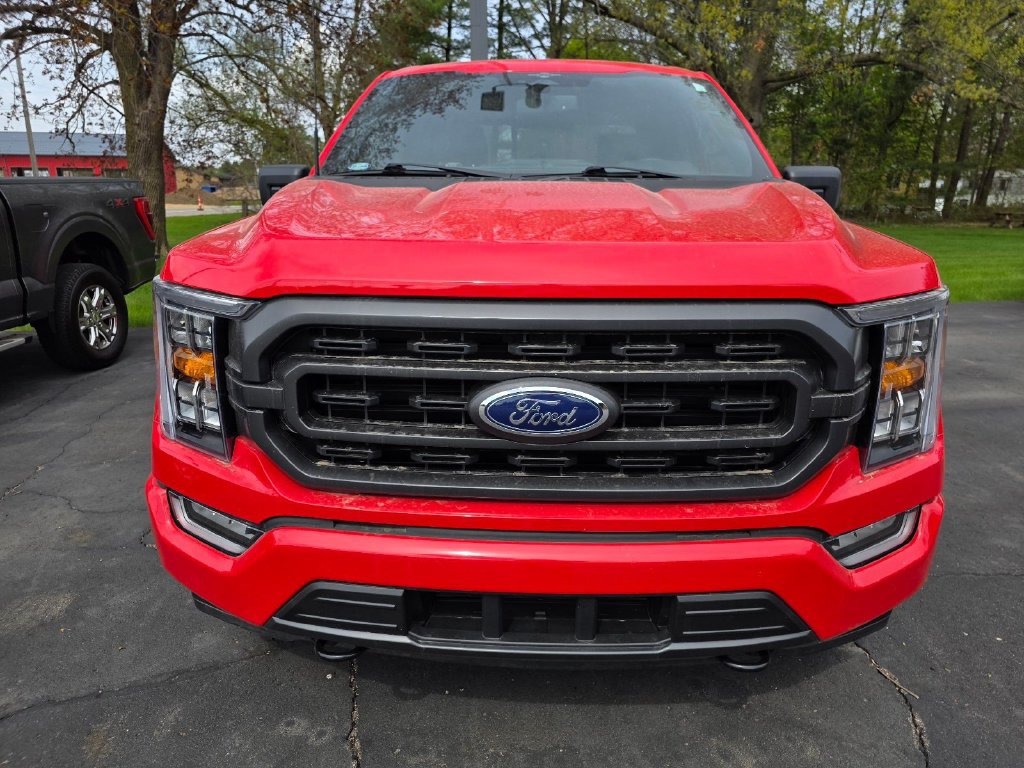 Used 2023 Ford F150 XLT w/ Equipment Group 302A High AWD/4WD image 3