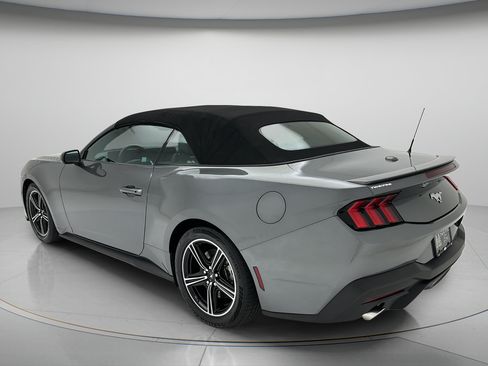 Used 2025 Ford Mustang Premium RWD image 4