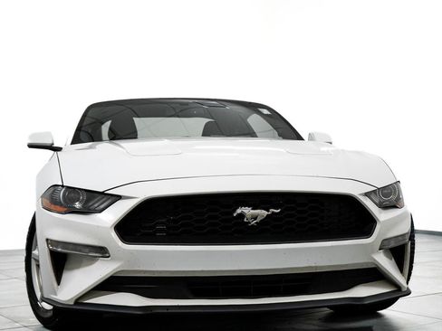Used 2019 Ford Mustang Coupe RWD image 3