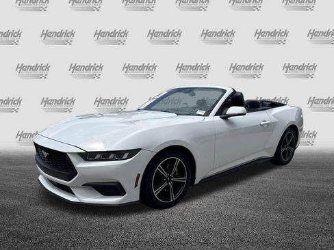 Used 2024 Ford Mustang Premium RWD image 5