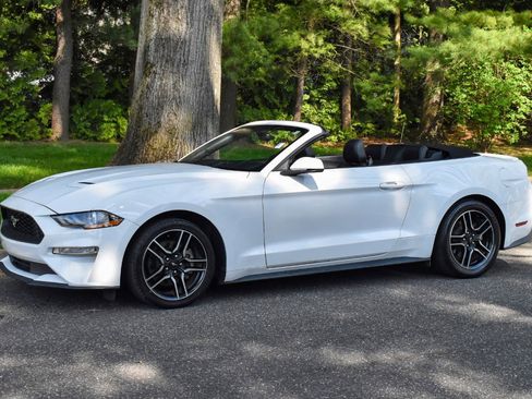 Used 2019 Ford Mustang Premium image 2
