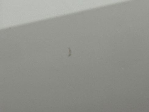 Used 2014 Chevrolet Camaro LS image 35