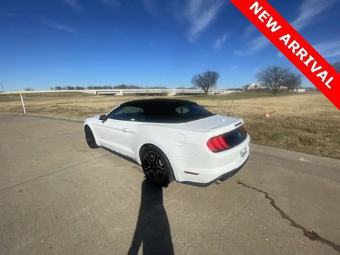 Used 2019 Ford Mustang Premium image 7