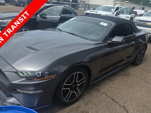 Used 2020 Ford Mustang Premium RWD image 1