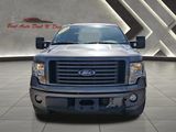 Used 2010 Ford F150 Platinum image 3