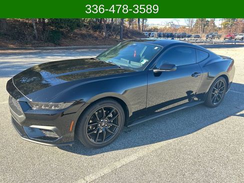 Used 2024 Ford Mustang Coupe image 1