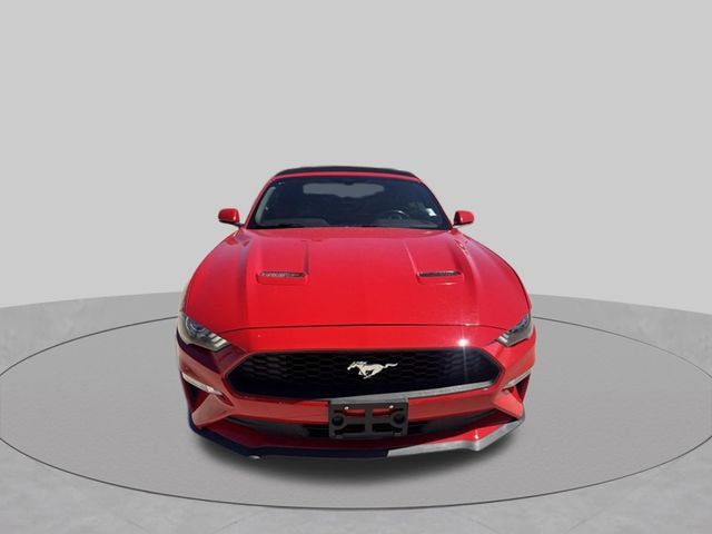 Used 2019 Ford Mustang Premium RWD image 6