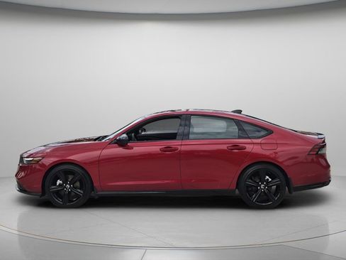 Used 2025 Honda Accord Sport image 4