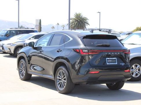 Certified 2026 Lexus NX 350h AWD w/ Cold Area Package image 19