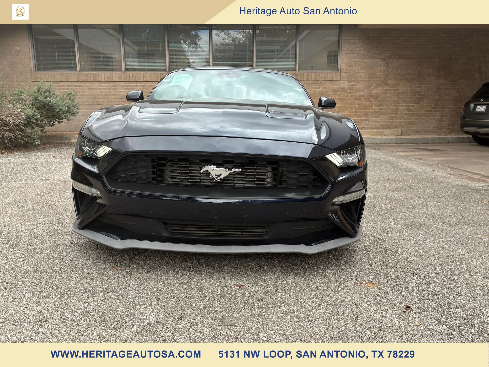 Used 2021 Ford Mustang Premium RWD image 2
